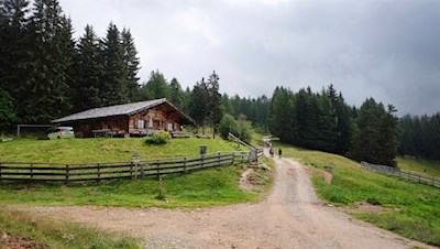 Inmitten einer idyllischen Lichtung liegt die Moschwaldalm