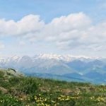 Nahezu der Wirklichkeit entrückt...