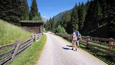Durch das abgeschiedene Karbachtal wandern wir zunächst zur Schäferalm