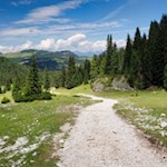 Sulla via del ritorno al Monte Pana