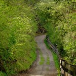 Forstweg in Richtung Gedenkkapelle