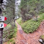 Der Weg Nr. 4 führt zur Schatzerhütte