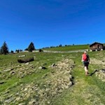 Anstieg zur Vöraner Alm