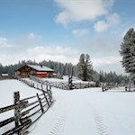Die idyllisch gelegene Ackerboden Alm