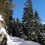 Rodelbahn Staller Sattel