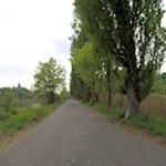 Die Landschaft am Mincio könnte einem Bilderbuch entstammen