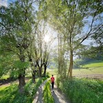 Leichte Wanderung von Stilfes nach Elzenbaum