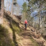 Anstieg zum Ansitz Velseck auf dem Promenadenweg