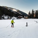 Neben uns zieht ab und an ein Langläufer vorbei