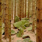 Über Stock und über Stein zu den Barbianer Wasserfällen