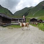 Auf der Fane Alm laden gleich drei Hütten zur Einkehr