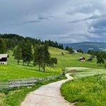 Sanft-schlängelt-sich-der-Wanderweg-durch-die-Lärchenwiesen-des-Salten