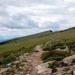 Attraverso i prati alpini fioriti fino al rifugio malga Brogles