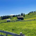 Der Wanderweg zur Leadner Alm führt durch malerische Wiesen