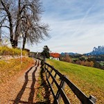 Auf nahezu ebenen Wegen von Maria Himmelfahrt nach Oberbozen