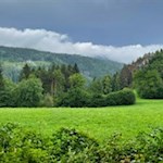 Der Römerweg führt durch Wald und Wiesen