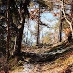 Auf dem stein- und wurzelbeschlagenen Weg nach Karnol