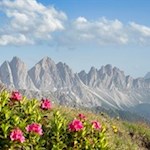 Neben uns erheben sich die Villnösser Geisler