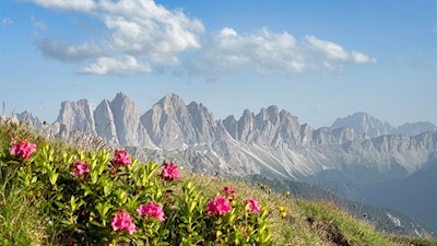 Neben uns erheben sich die Villnösser Geisler