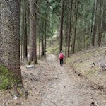 Durch den Wald nach Moos