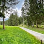 Vom Issinger Weiher nach Issing