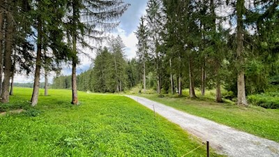 Vom Issinger Weiher nach Issing
