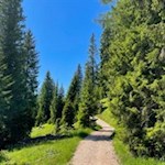 Sanft schlängelt sich der Perlenweg zur Ochsenhütte