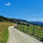 Nahezu eben schlängelt sich der breite Almweg in Richtung Rastnerhütte