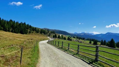 Nahezu eben schlängelt sich der breite Almweg in Richtung Rastnerhütte