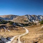 "Es ist unglaublich, wie viel Kraft die Seele dem Körper zu leihen mag." (Wilhelm von Humboldt)