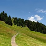 Auf sanften Pfaden auf den Puflatsch