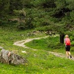 Auf sanften Wegen zur Brogleshütte