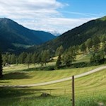 Sanft steigt der breite Wanderweg durch die nunmehr offene Almlandschaft an