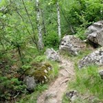 Sanft steigt der Partschinser Sagenweg durch den Laubwald an