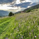 Frühlingswanderung bei Tiers