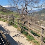 Aussichtsbank auf dem Keschtnweg