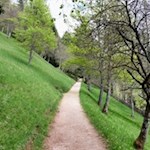 Besinnungsweg "Weg des Dialogs"