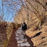 Anstieg zur Burg Sprechenstein