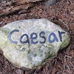 Längs des Hirtensteigs erinnern Steine an die Namen der Weidetiere