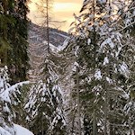 Malerisches Farbenspiel am Winterhimmel