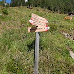 Auf bereits bekanntem Wege zurück nach Weißenbach