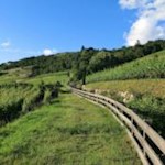 Von Neustift nach Raas