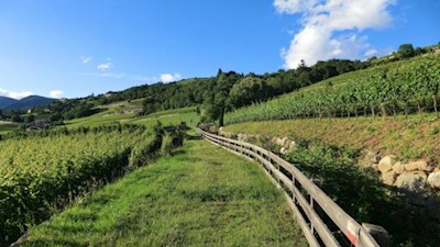 Von Neustift nach Raas