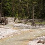 Ständiger Wegbegleiter ist der klare Vigilbach