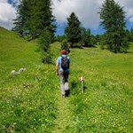 Im Frühsommer führt die Wanderung durch aromatisch duftende Blumenwiesen