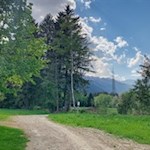 Durch ein Biotop nach Stange