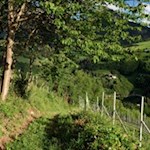 Auf dem Weg Nr. 5 zurück nach Völs