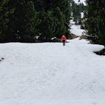 Abstieg zur Halslhütte