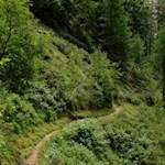 Sanft schlängelt sich der Jägersteig in Richtung Meransen