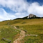 Der erste Streckenabschnitt führt durch Weidewiesen